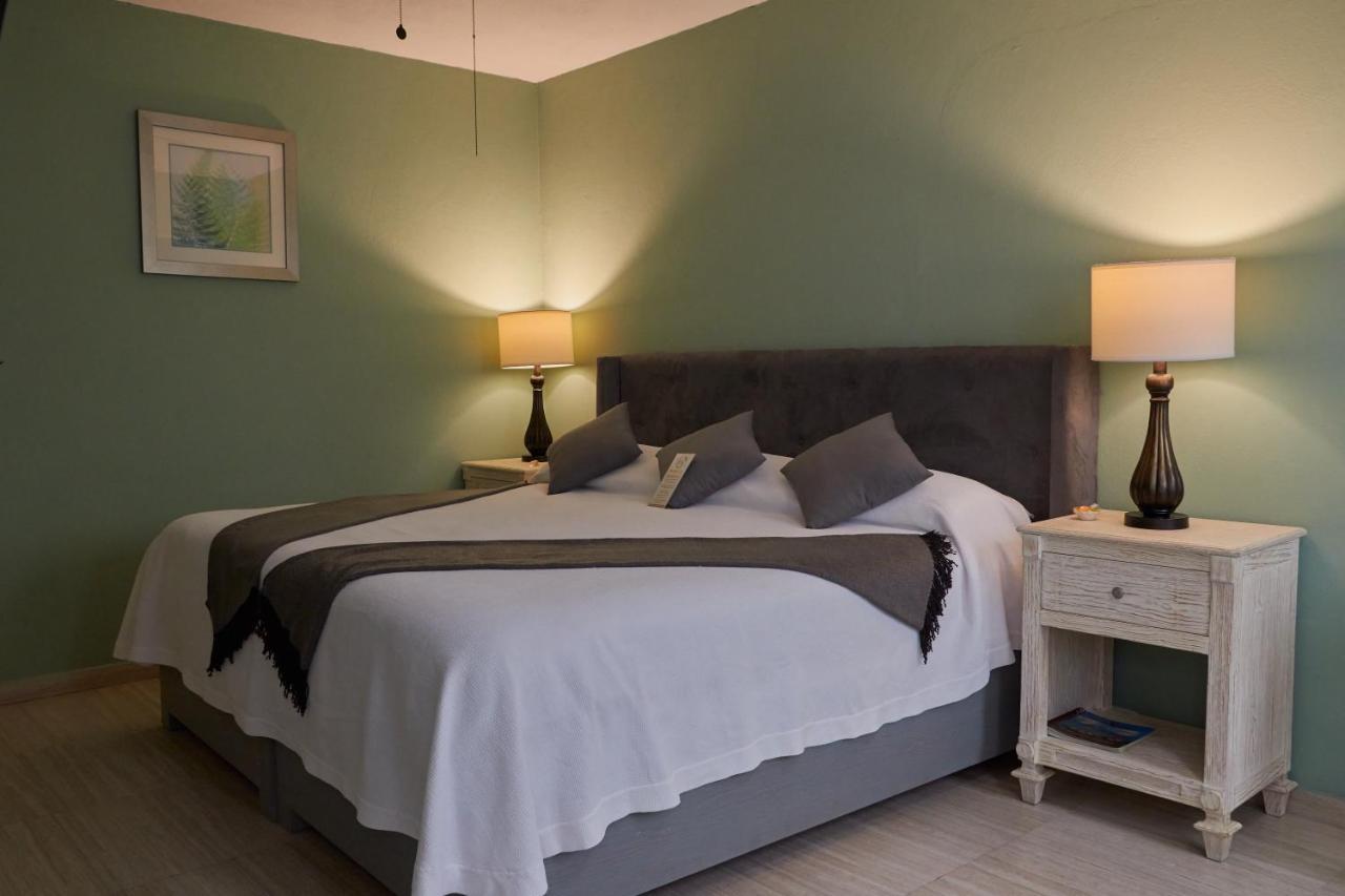 Casa Aliz Hotel ซานมิเกล เด อาเญนเด ภายนอก รูปภาพ
